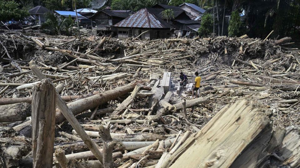 Kemenhut Segel 7 Perusahaan Serta Individu yang Diduga Merusak Hutan hingga Banjir di Sumatra, Ini Daftarnya